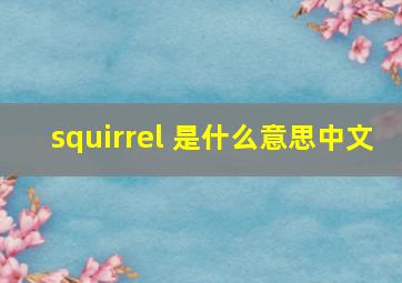 squirrel 是什么意思中文